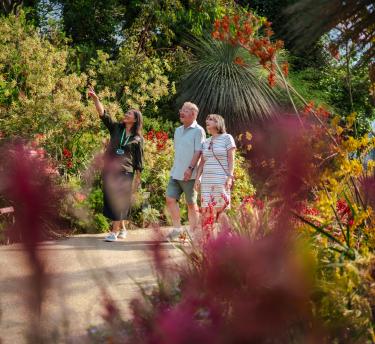 Eden Project guide showing two visitors around the Mediterranean Biome